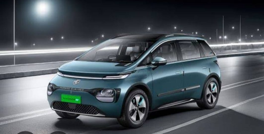 Windsor EV